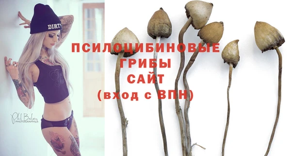 стафф Алзамай
