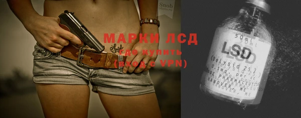стафф Алзамай