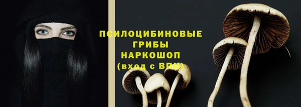 мяу мяу кристалл Елабуга