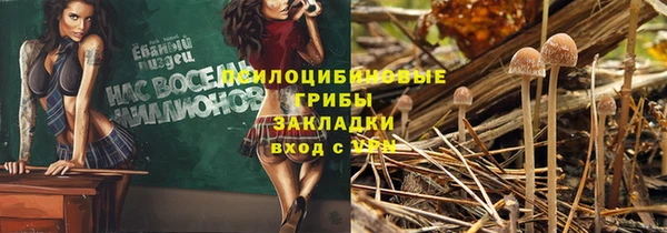стафф Алзамай